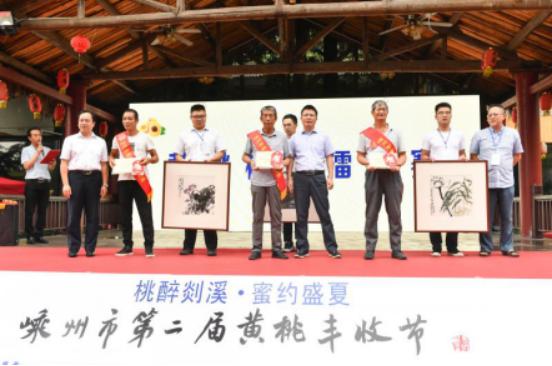 桃醉剡溪·蜜约盛夏——嵊州市第二届黄桃丰收节文艺创作侧记